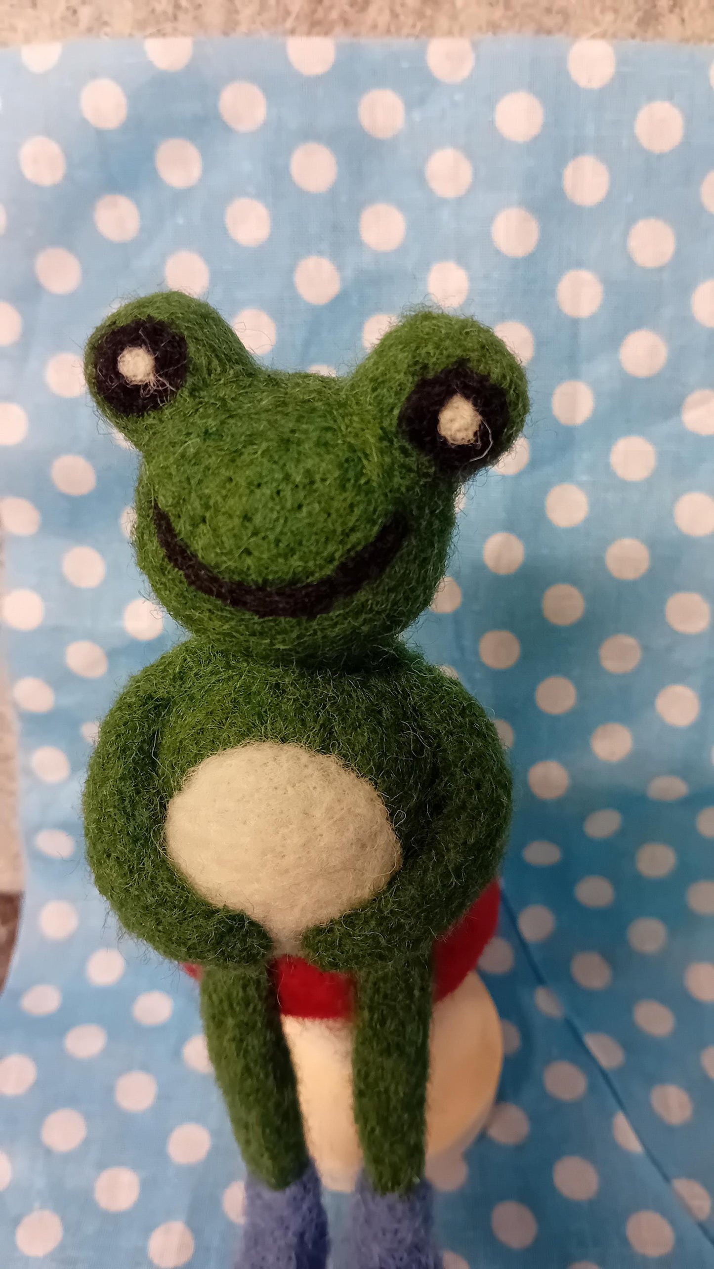 Needlefelt frog on a toadstool,mushroom. unique gift for fathers day,dad,mum, nan, auntie uncle teacher gift . frog gifts