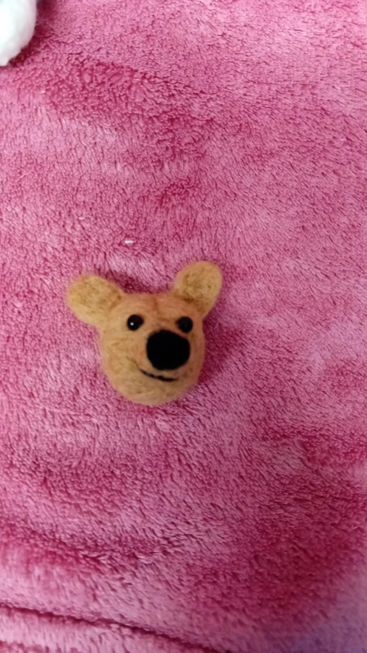 Handmade Needlefelt Animal Badge: Wool Felt Pin,secret Santa