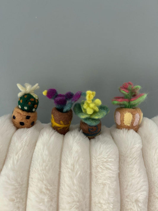 Needle Felted Succulents: Handmade Wool Plant Set