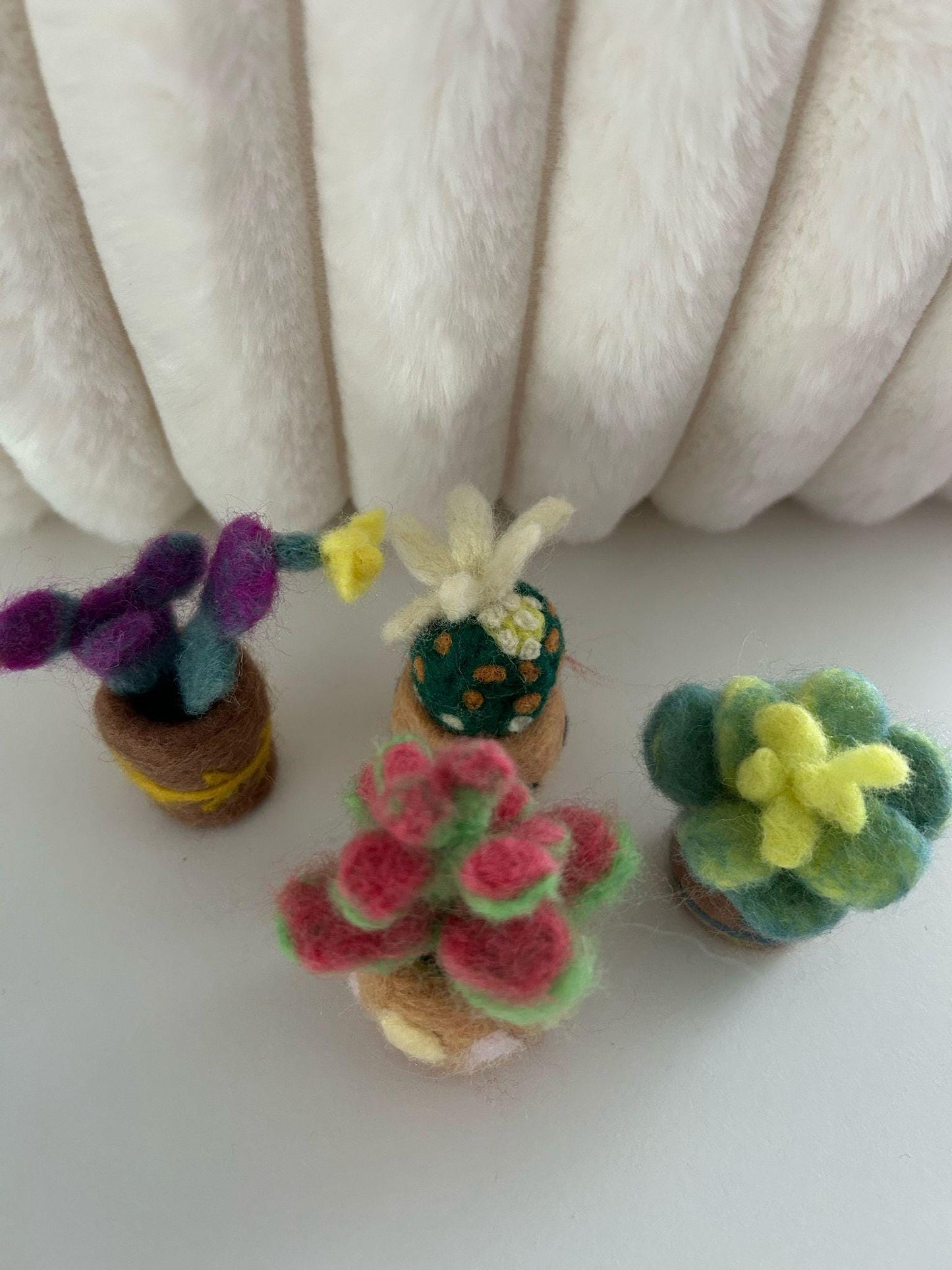 Needle Felted Succulents: Handmade Wool Plant Set